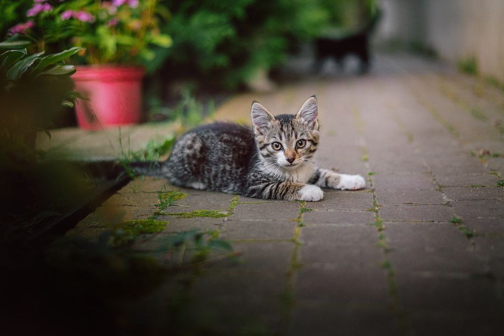 Photograph by Мария Купревич