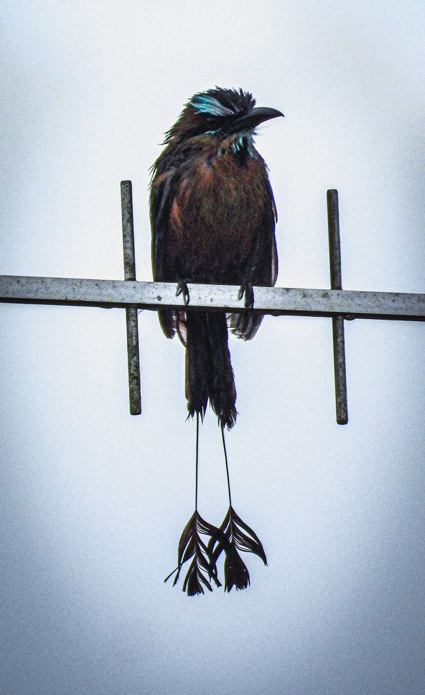 Фотография автора fabio chiari