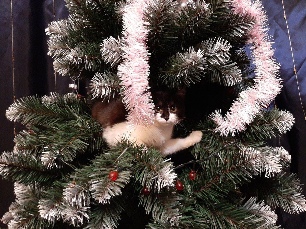 Photograph by Роман Худяков