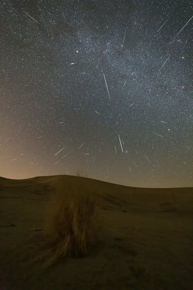 Photograph by Hamid espanani