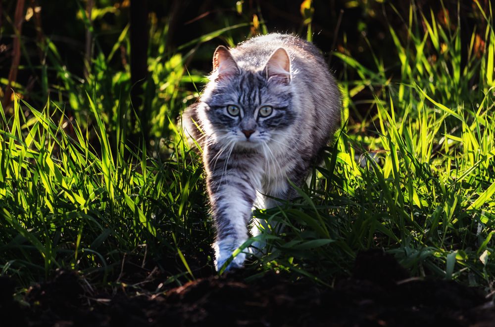 Photograph by Елена Фаворская