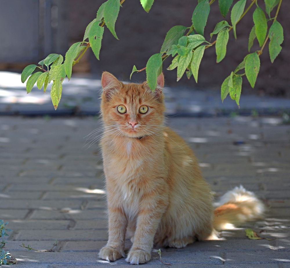 Photograph by Александр Николаев