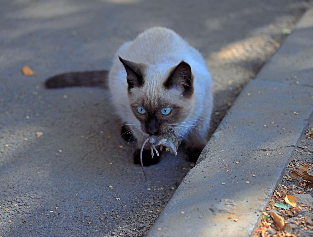 Photograph by Александр Николаев