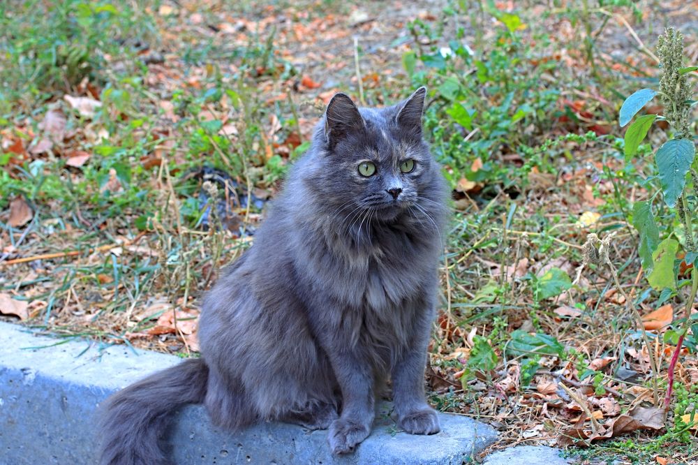 Photograph by Александр Николаев