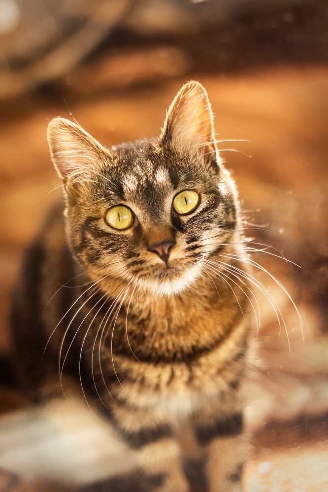 Photograph by Дмитрий Огольцов