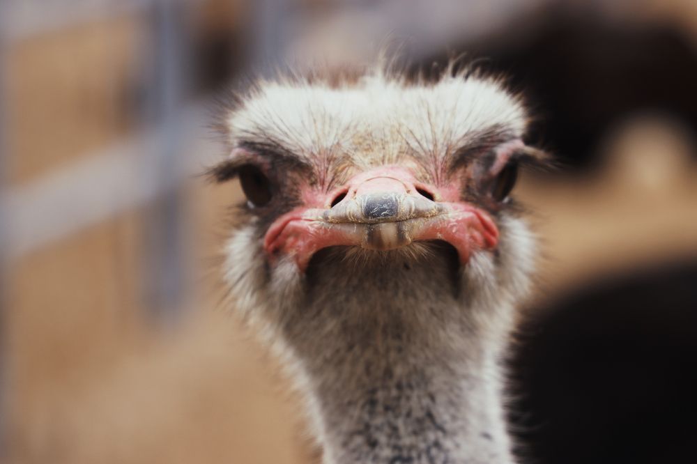 Photograph by Yana Egorova