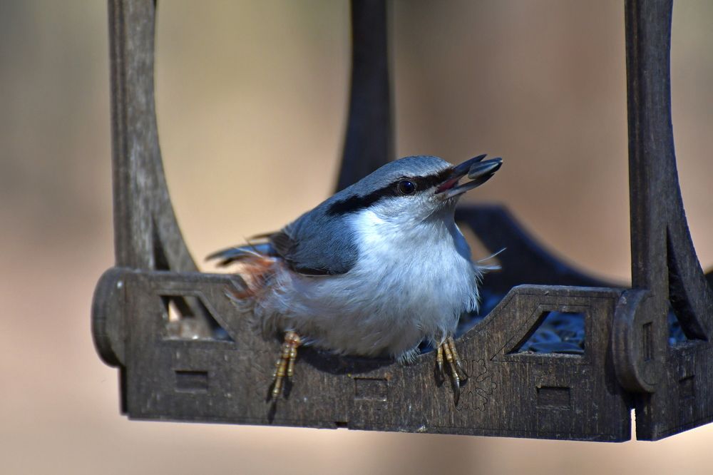 Photograph by Игорь Корнейчук