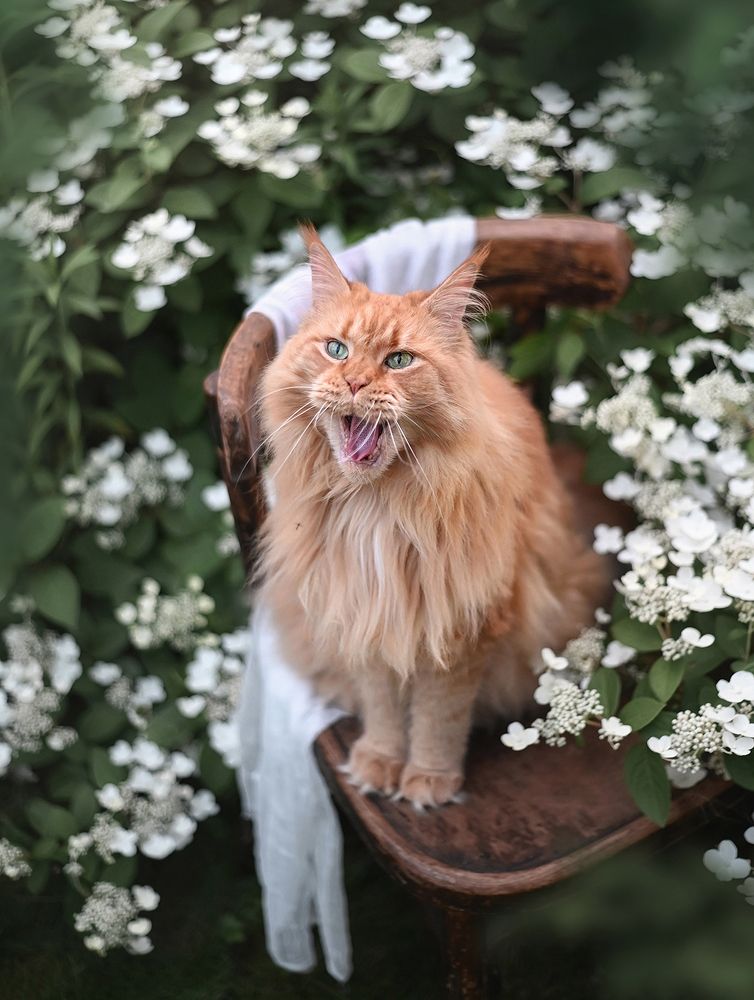 Ура, снова лето!