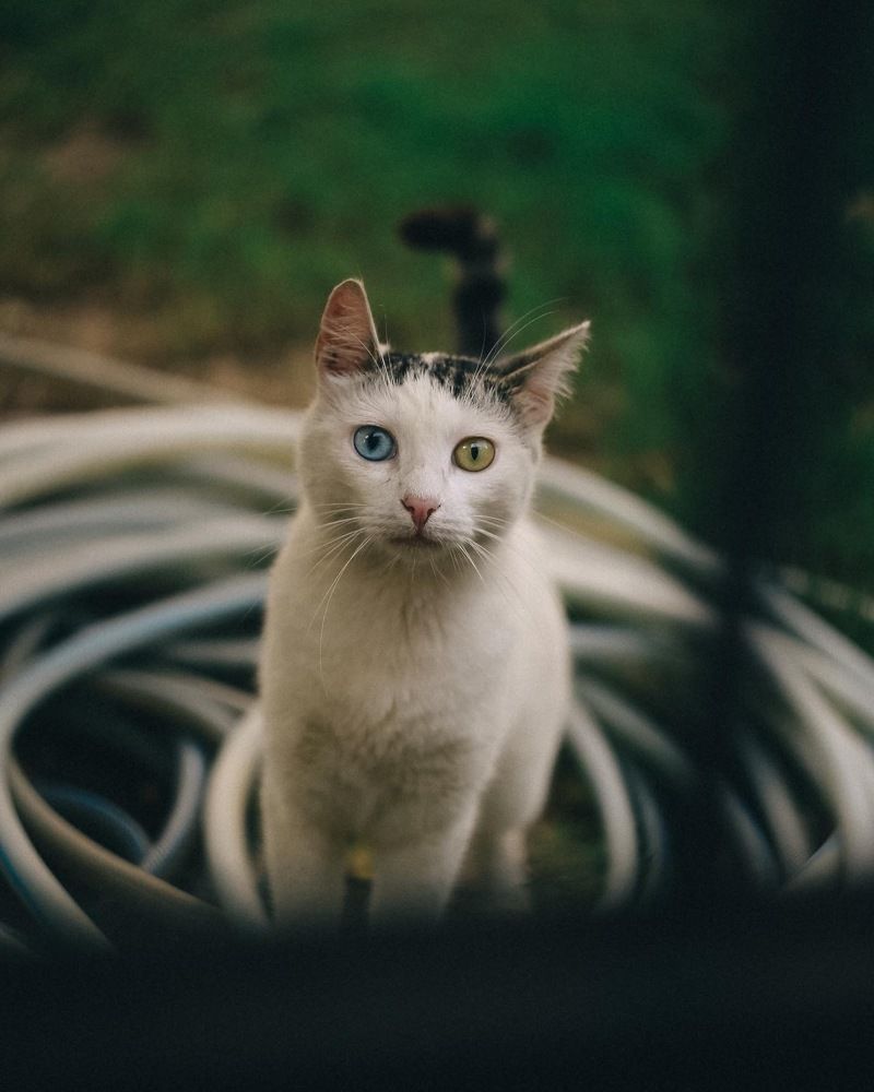 Photograph by Екатерина Богер