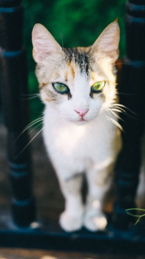 Photograph by Екатерина Богер