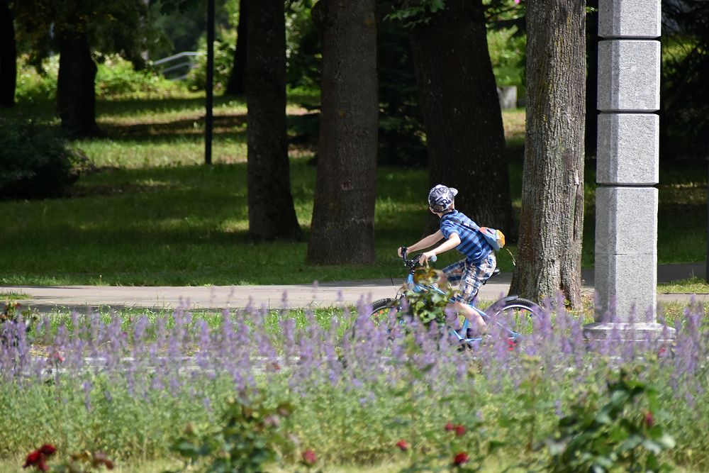 Photograph by Владимир Воложинский