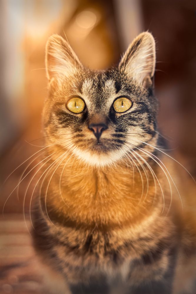 Photograph by Дмитрий Огольцов