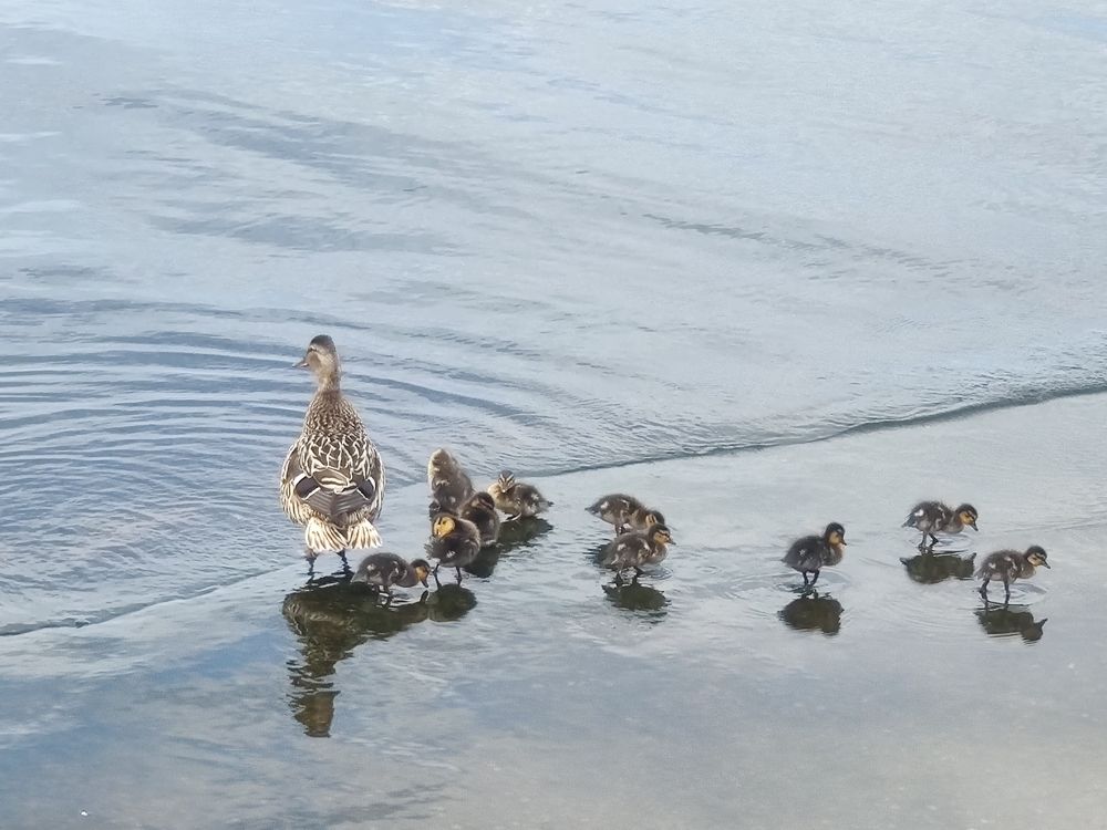 Photograph by Ирина Михайлова