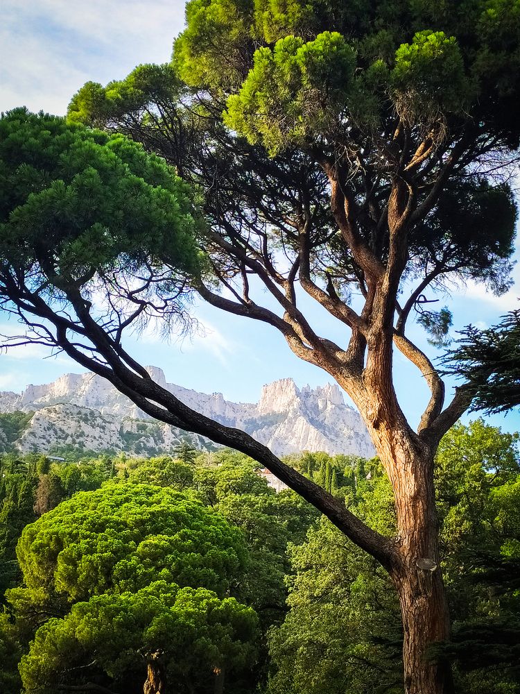 Photograph by Андрей Федоров