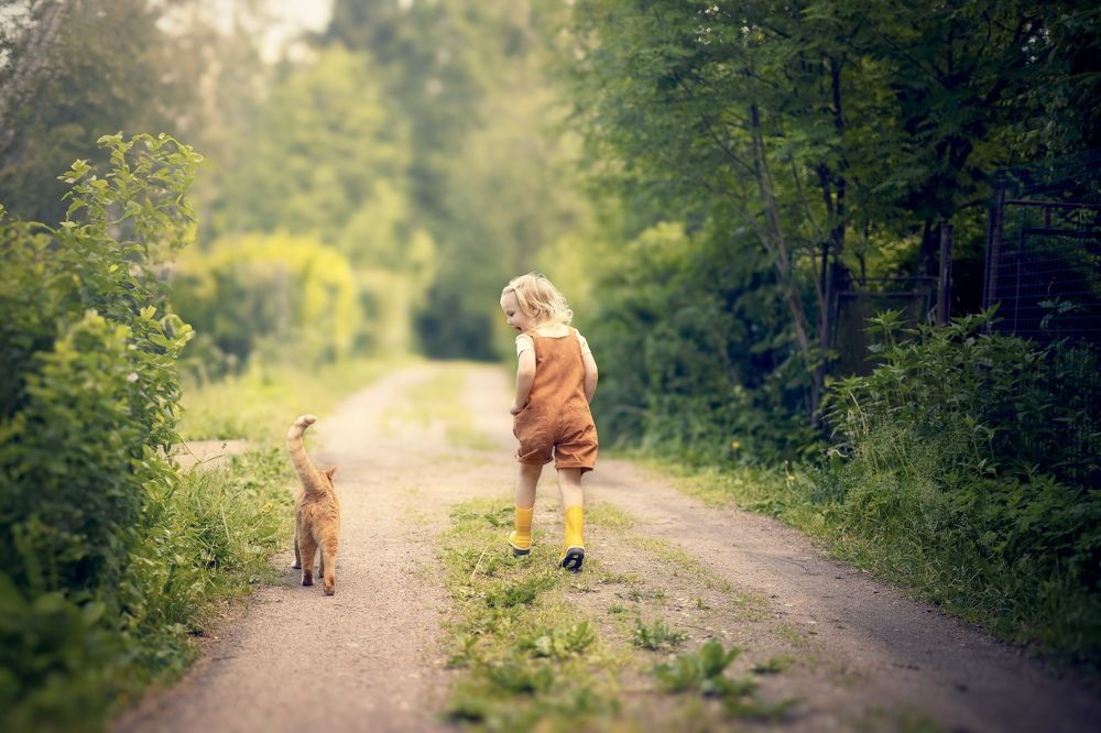 Photograph by Екатерина Васильева