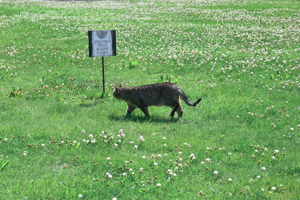 Photograph by Nora Cheprasova