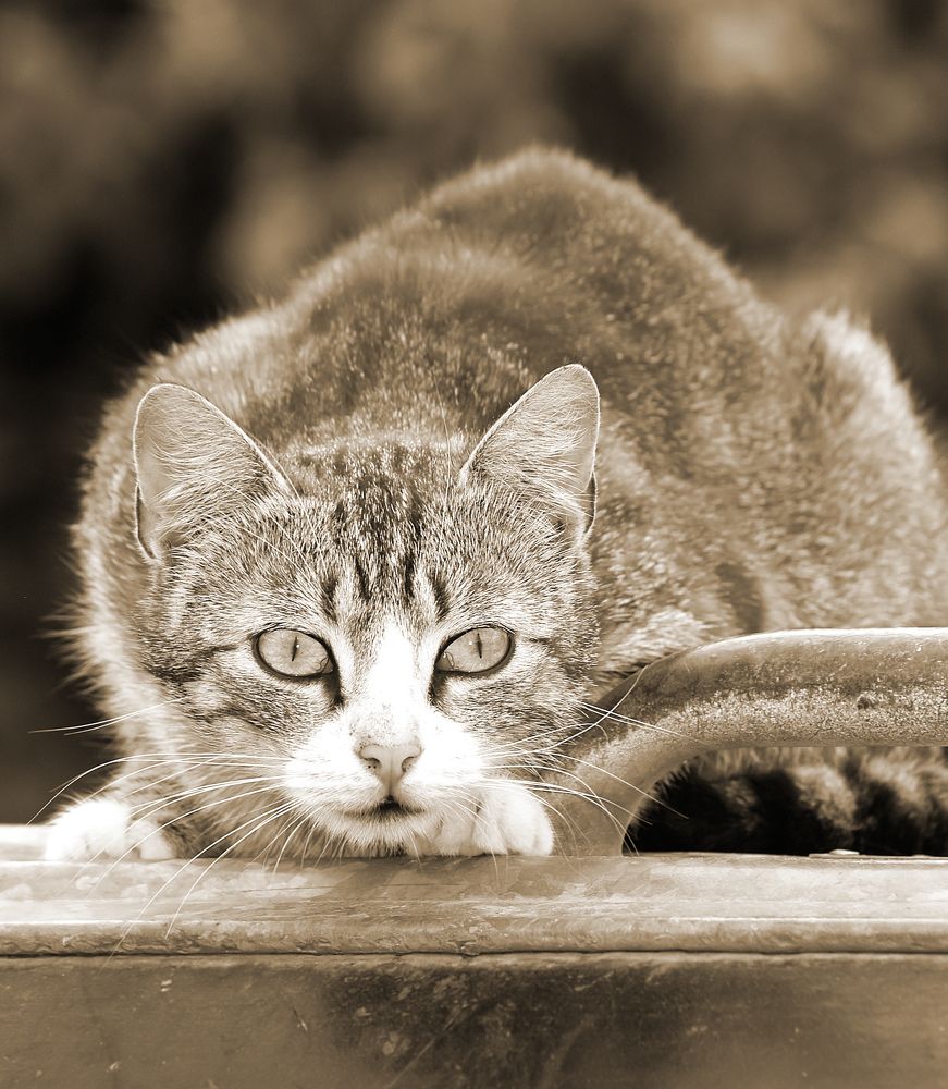 Photograph by Agita Leimane