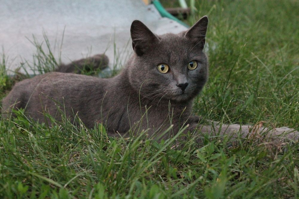 Photograph by Любовь Лунина