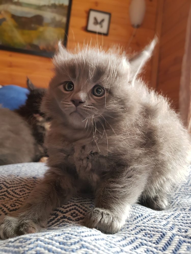 Photograph by Глеб Кузьминых