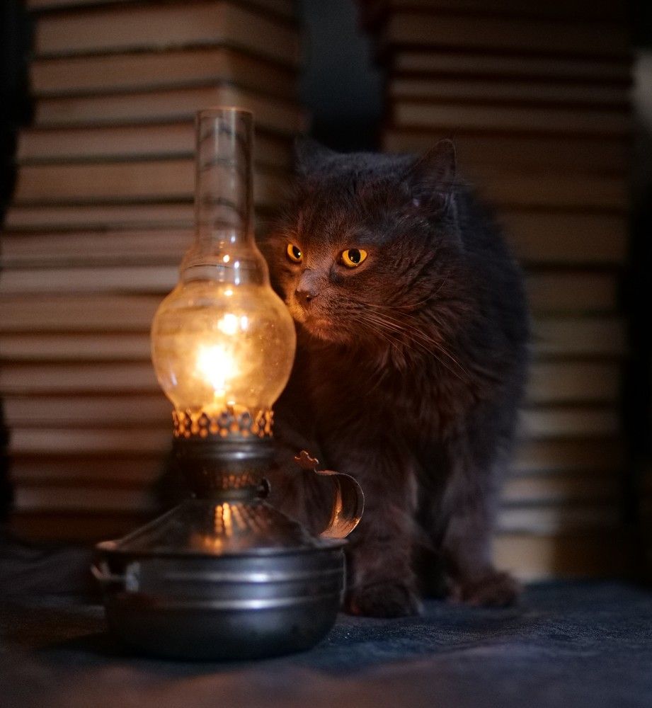 Photograph by Оксана Архипова