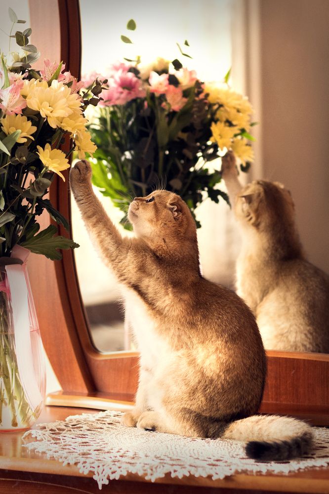 Фотография автора Галина Аверьянова