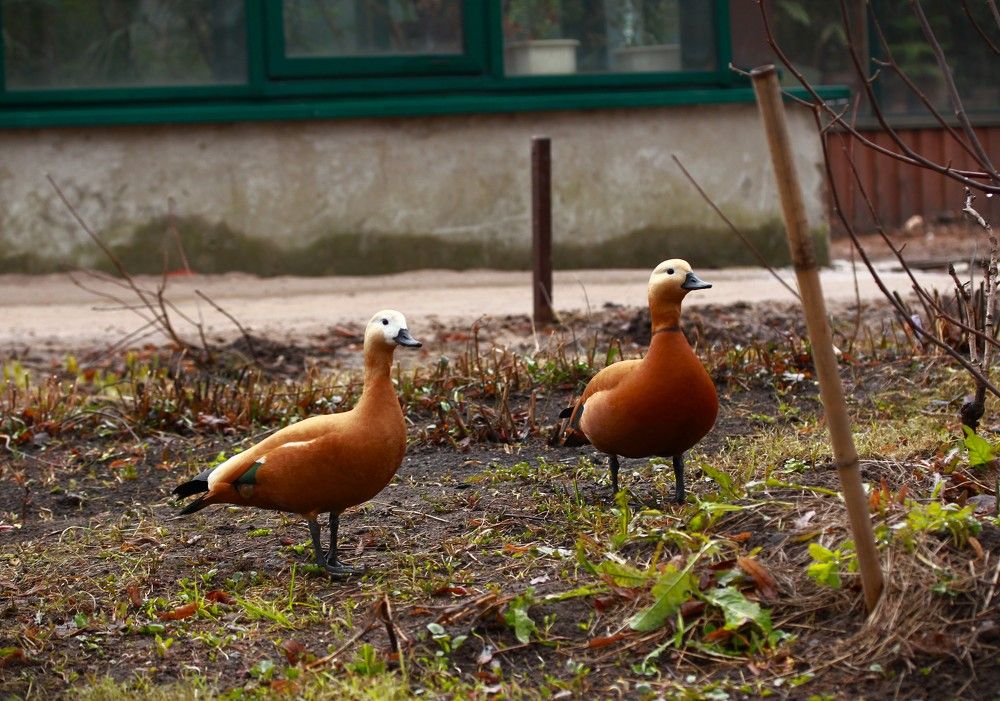 Photograph by Гагик Саркисян