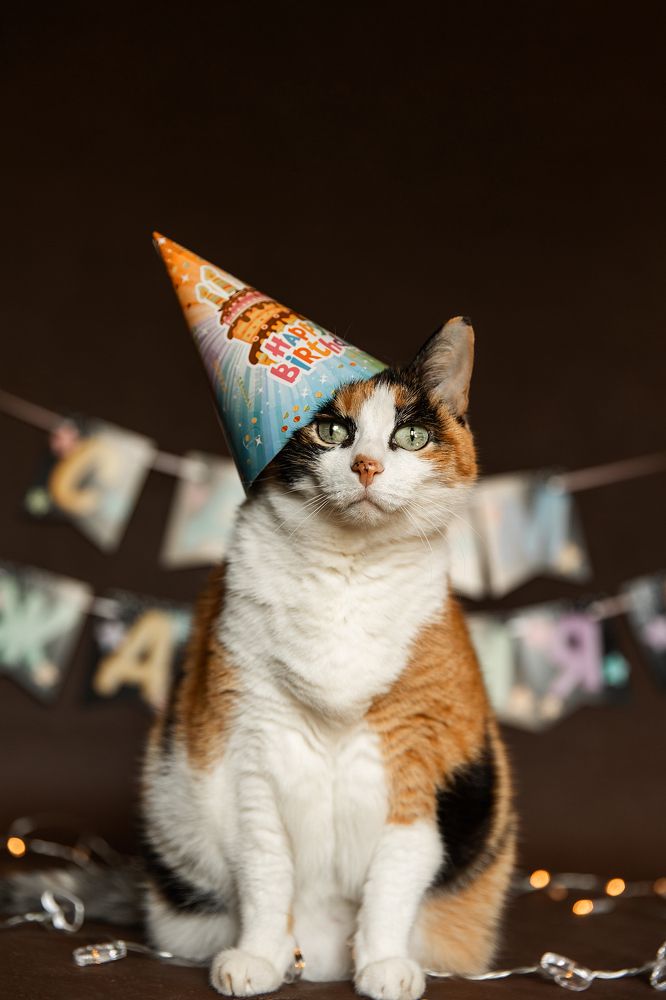 Photograph by Светлана Степашина