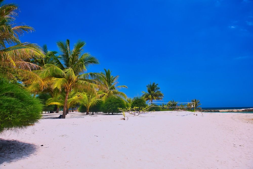 Photograph by Михаил Ноеренчук