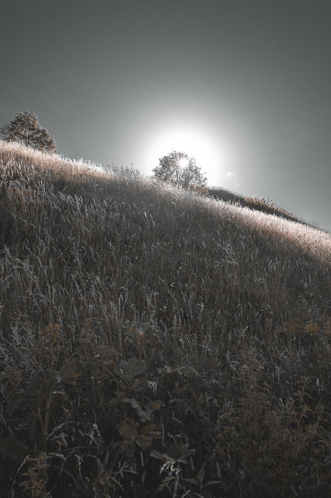 Photograph by Кирилл