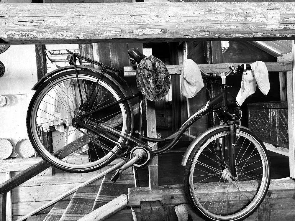 Photograph by Kuzmichev Alexey