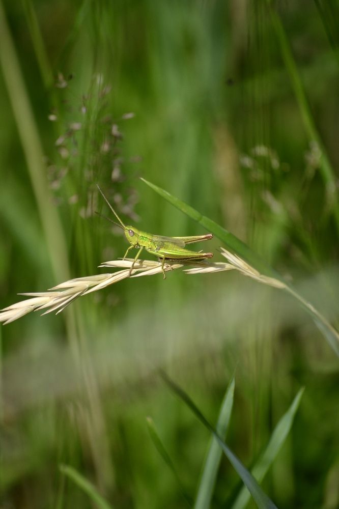Photograph by Александра