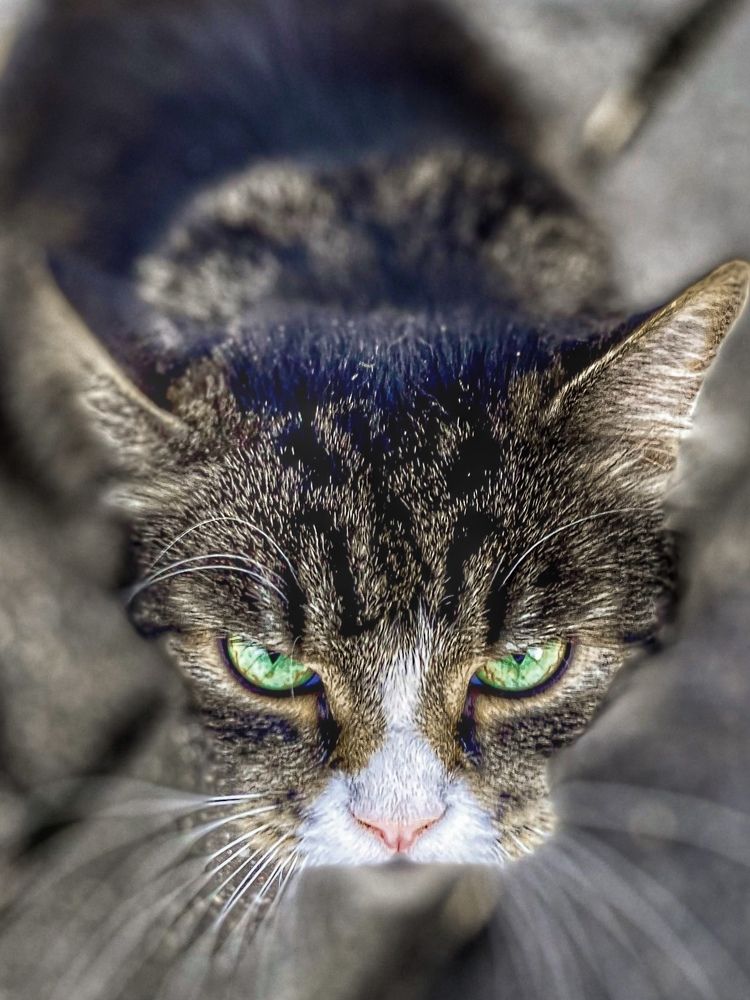 Фотография автора Светлана Герасимук