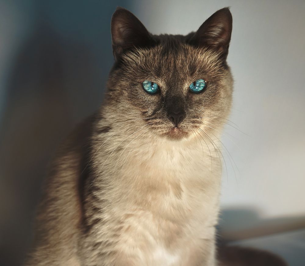 Photograph by Мария Никольская