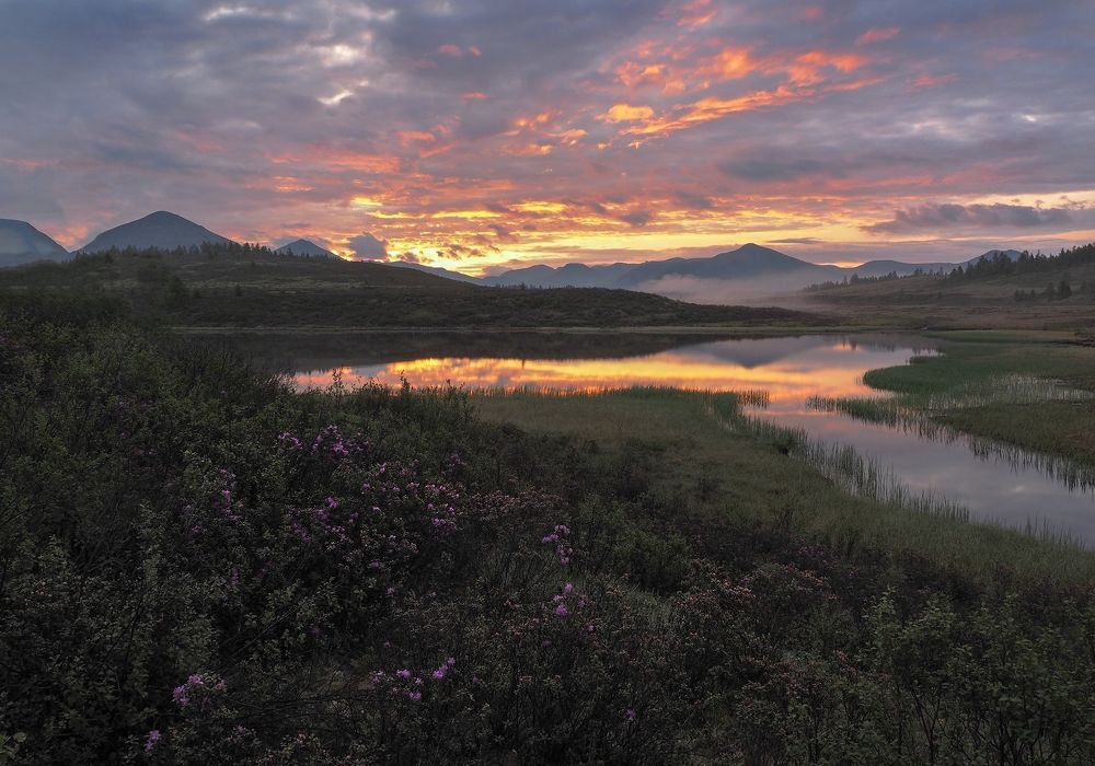 Photograph by Александр Попов