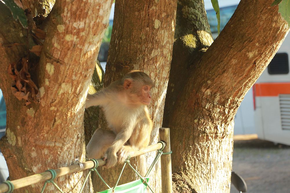 Photograph by Людмила Савчук