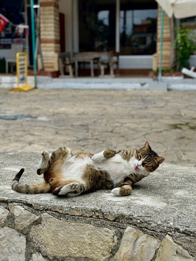 Photograph by Екатерина Мирошникова