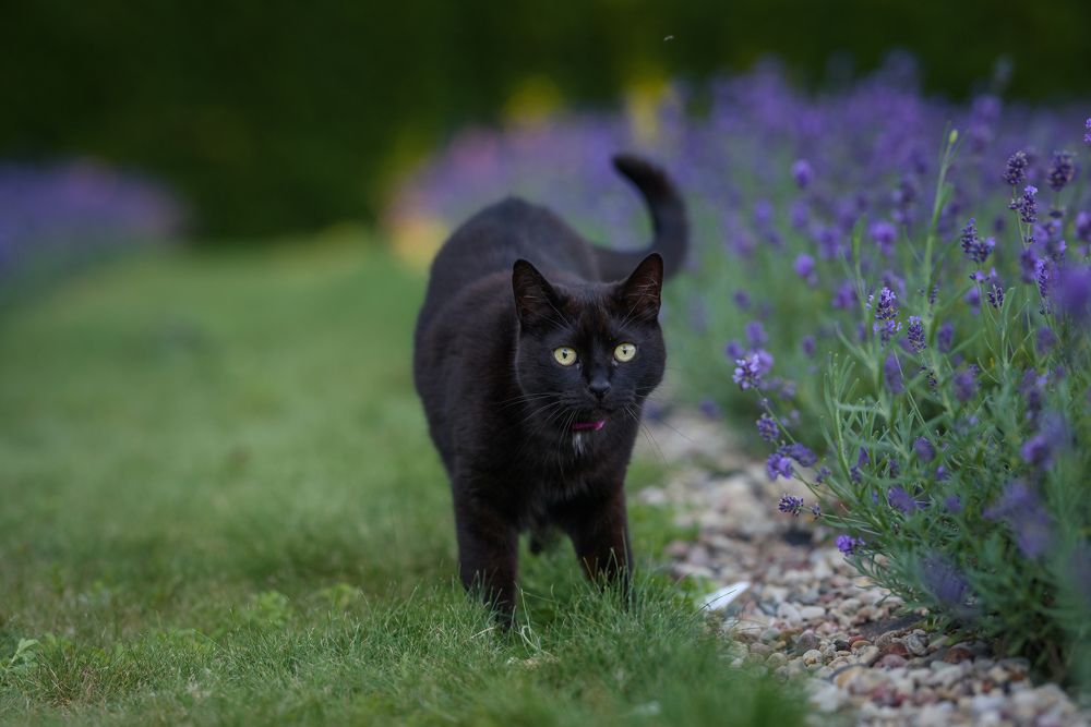Photograph by Дубровская Виктория