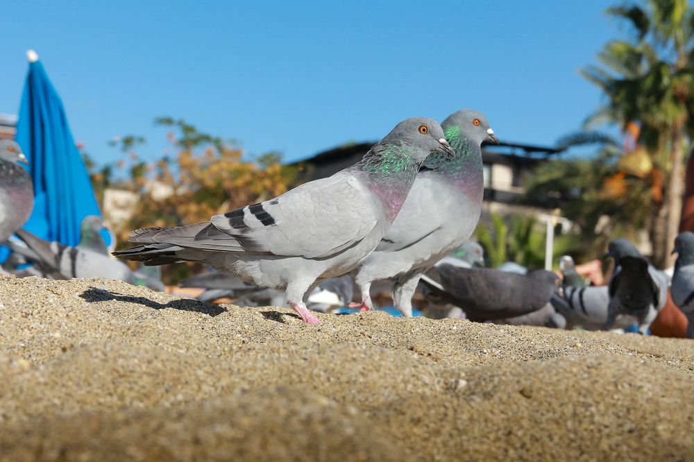 Photograph by Людмила Савчук