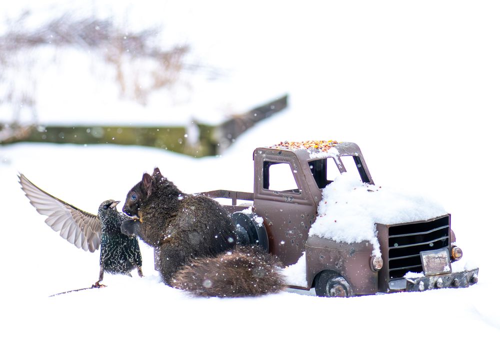 Photograph by Carla Rodrigues