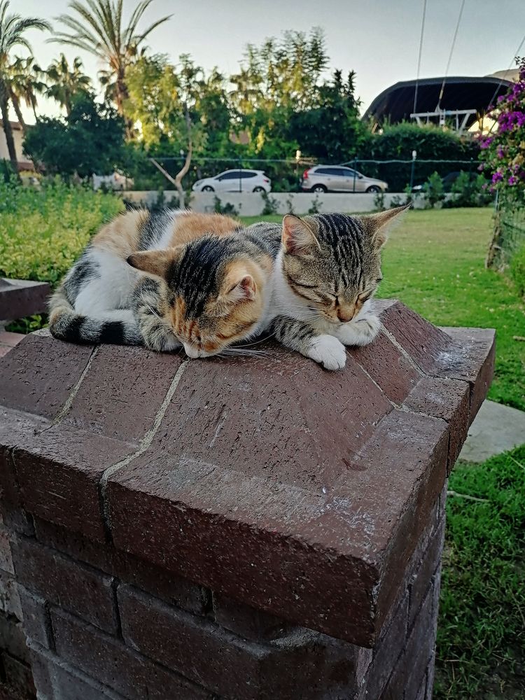 Photograph by Людмила Савчук