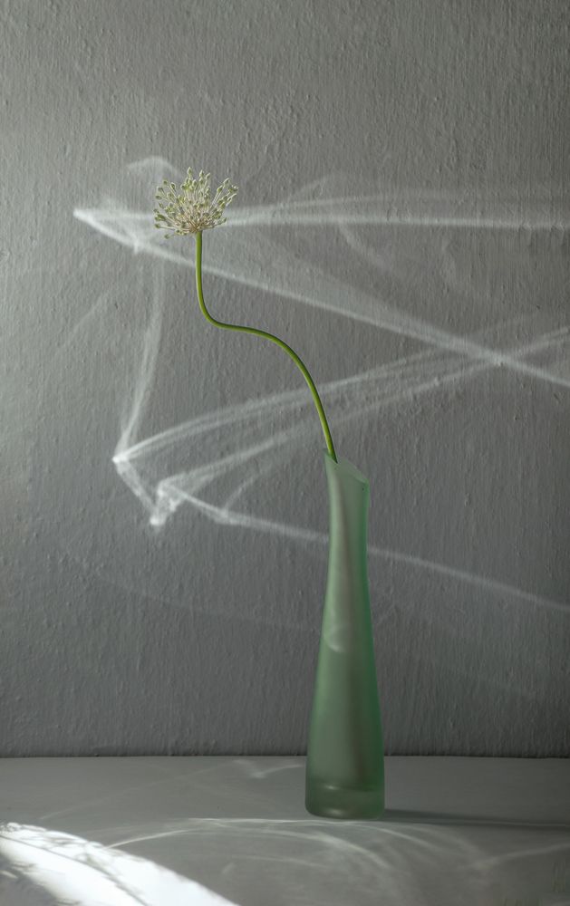 Photograph by Хаева Марина