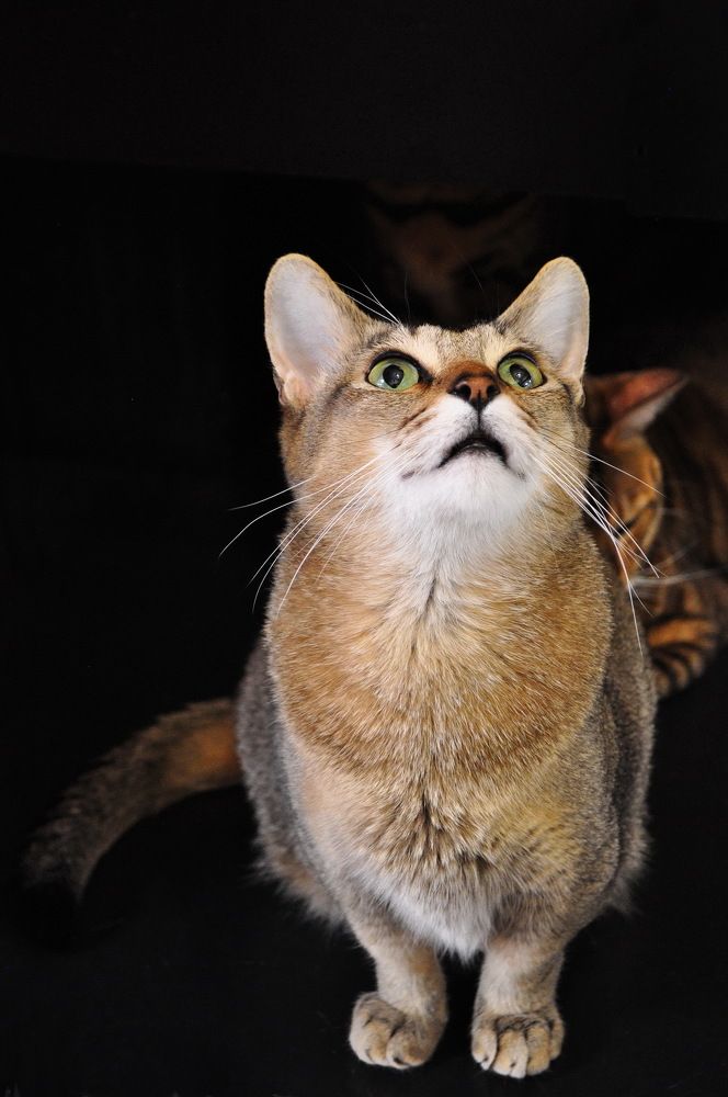 Фотография автора Ирина Кухарчук