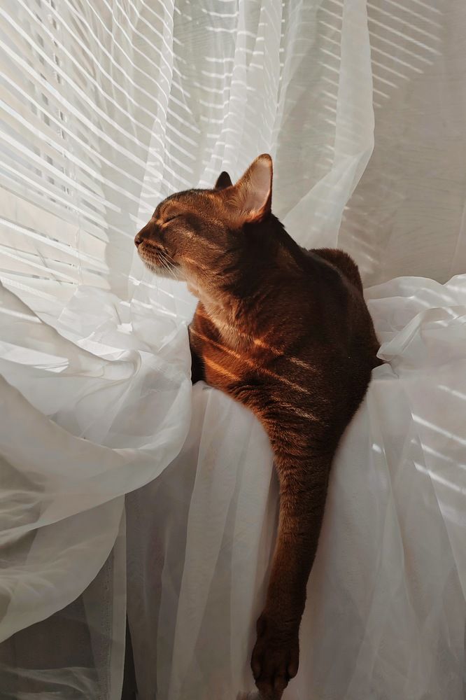 Фотография автора Татьяна Егорова