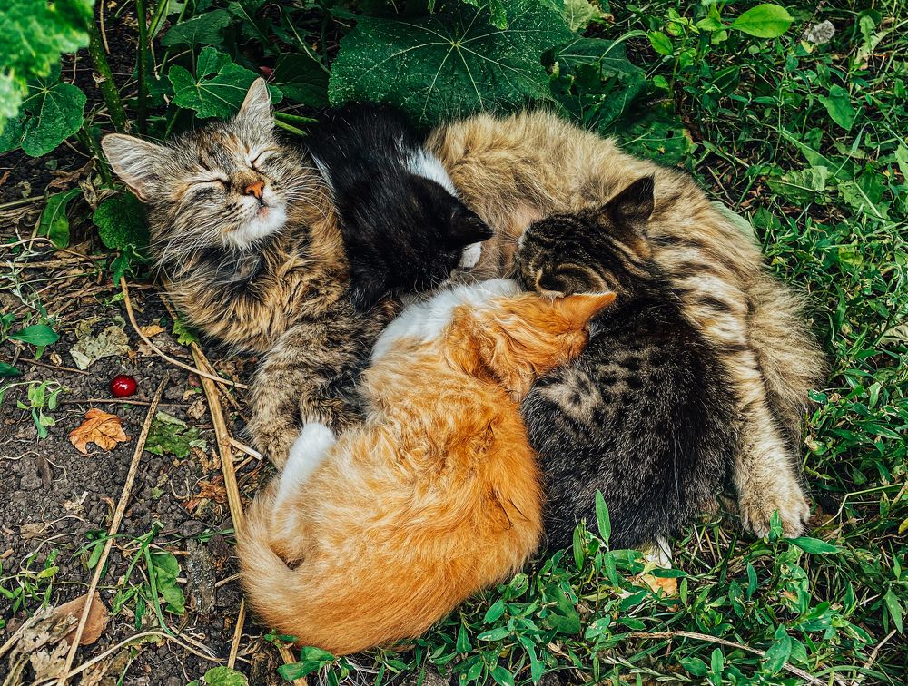 Photograph by Виктория Лаур