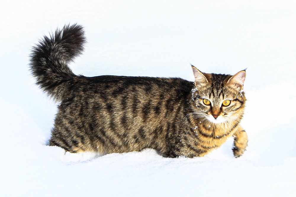 Фотография автора Александр Довганюк