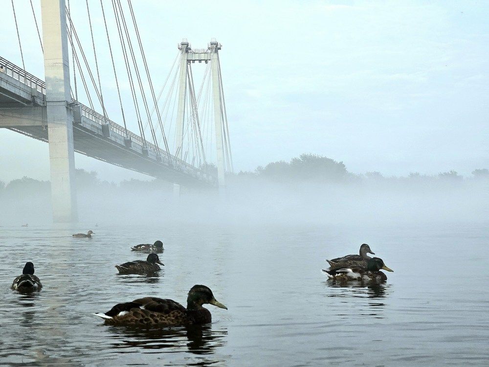 Photograph by Руслан Поляков