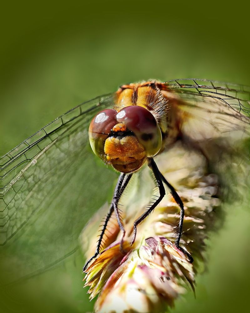 Photograph by Кузнецов Дмитрий