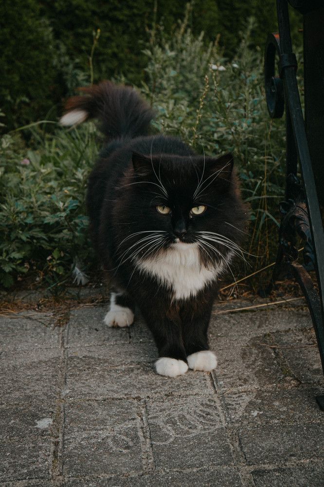 Photograph by Tatiana Potapenko