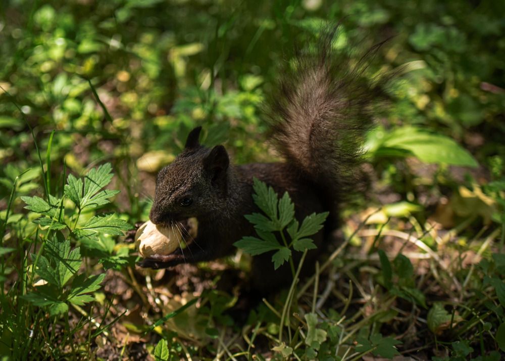 Photograph by Kirill Yakowlew