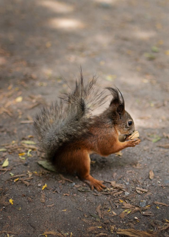 Photograph by Kirill Yakowlew